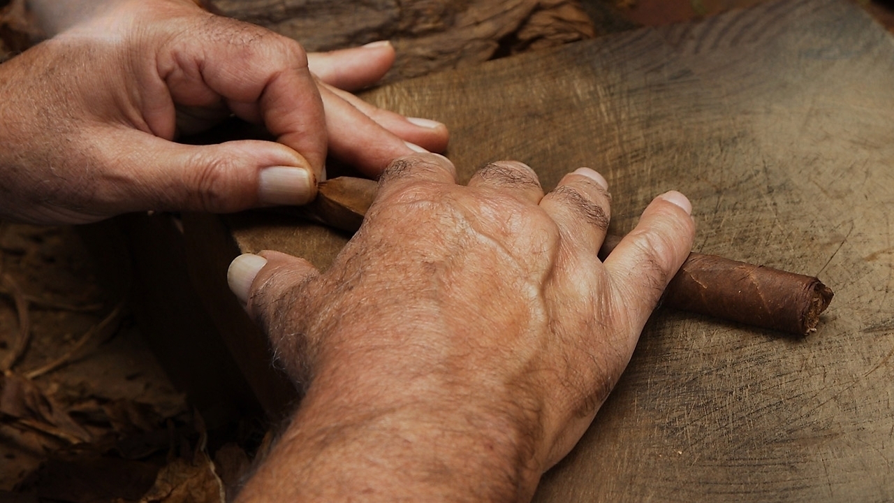 The Mastery of Hand-Rolled Premium Cigars